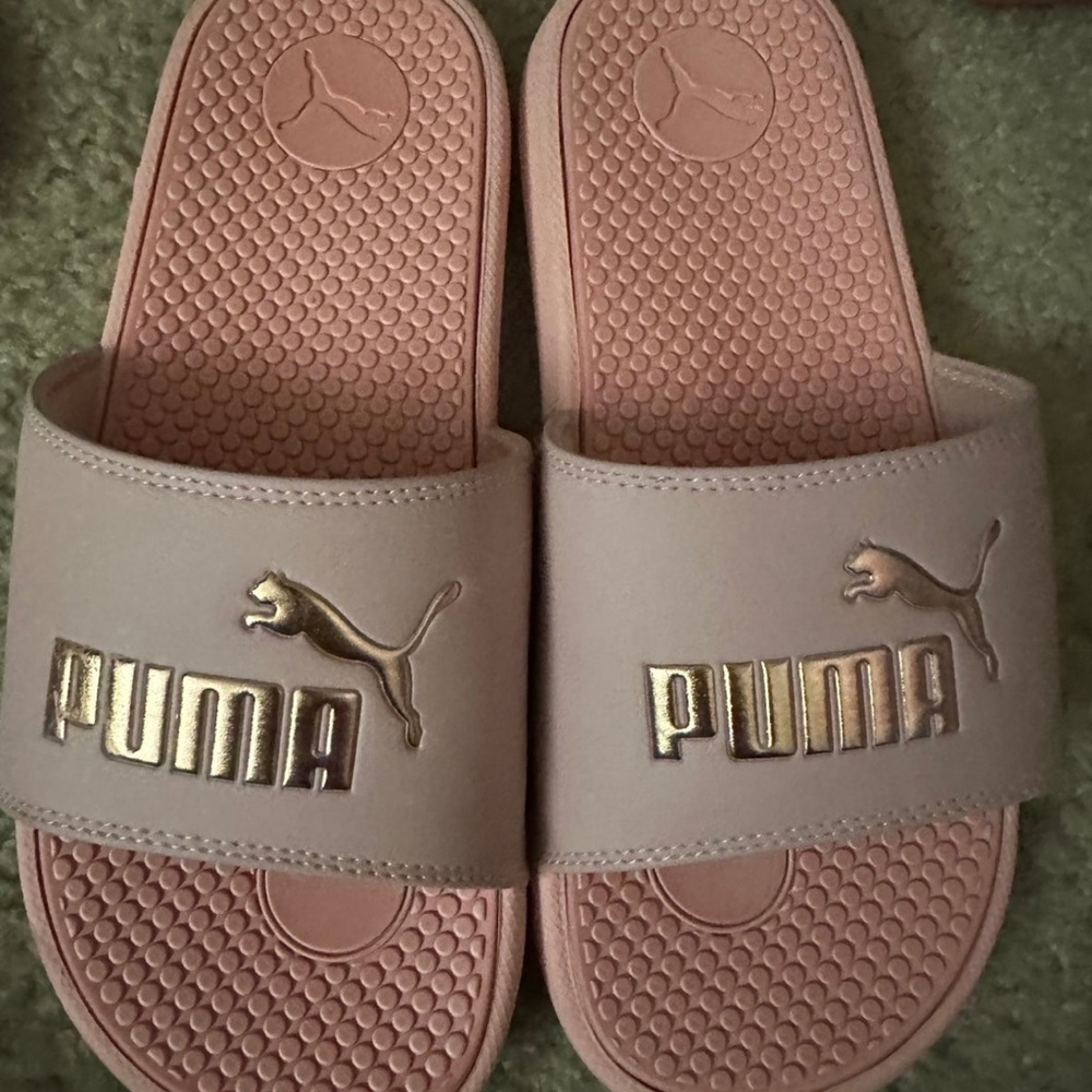Puma slides